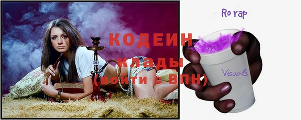 хмурый Алзамай