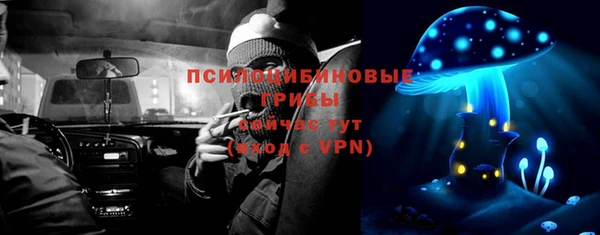 хмурый Алзамай
