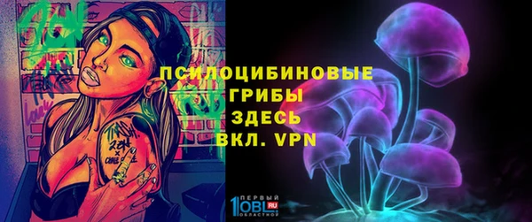 прущая мука Абаза