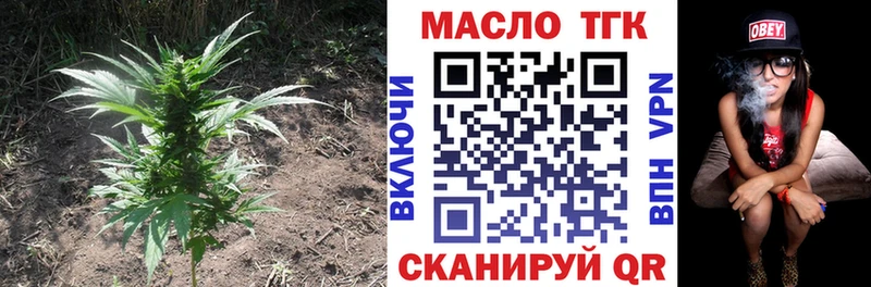 ТГК жижа  как найти закладки  Нестеров 